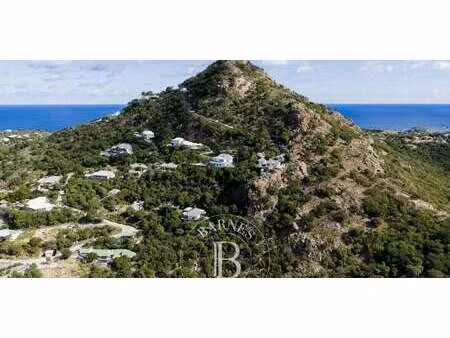 terrain avec vue panoramique saint-barthélemy (971)