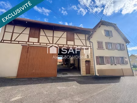 vente maison 8 pièces 290 m² à batzendorf (67500)  770 000 €