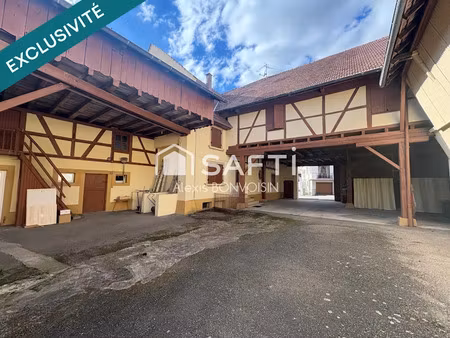 vente maison 8 pièces 290 m² à batzendorf (67500)  780 000 €