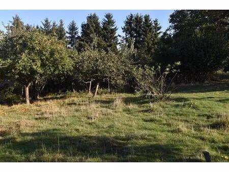 vente terrain 1778 m² cheppy (55270)