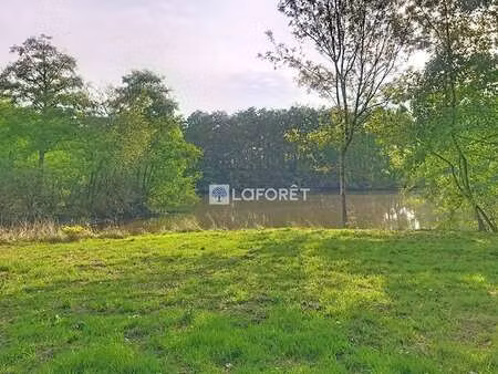 vente terrain au fuilet (49270) : à vendre / 22396m² le fuilet