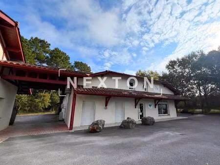 nexton immobilier