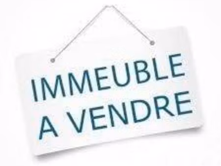 immeuble à vendre