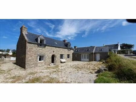 selurl morgane le bot