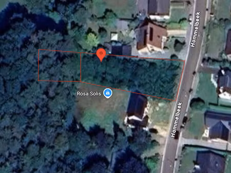 terrain à vendre à tessenderlo € 215.000 (lg7zi) - claes julie | zimmo