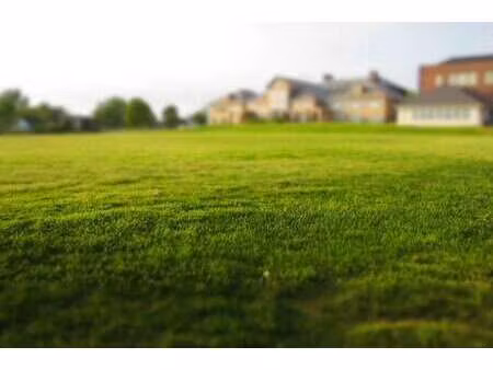 vente terrain à angers (49000) : à vendre / angers