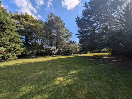 vente terrain 1000 m² à mignaloux-beauvoir (86550)  82 000 €