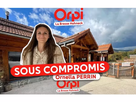 vente locaux professionnels 154 m² à saint-maurice-sur-moselle (88560)  219 000 €