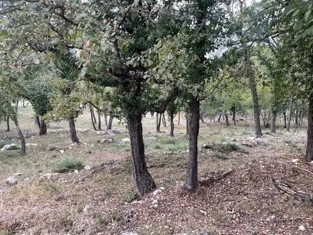 exclusivité - roquefort-les-pins - terrain inconstructible