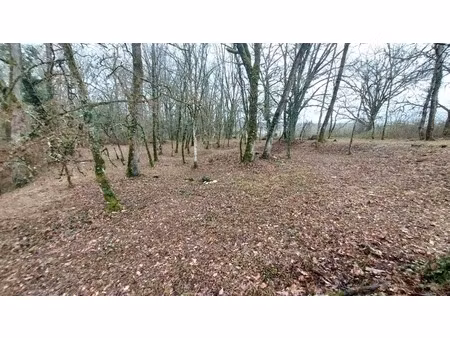 terrain à vendre de 1 255 00 m² baladou (46)