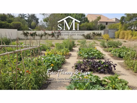 saint nazaire d'aude  grand terrain hors lot divisible