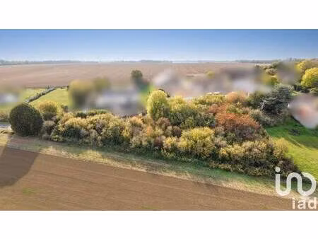 terrain constructible viabilisé à vendre