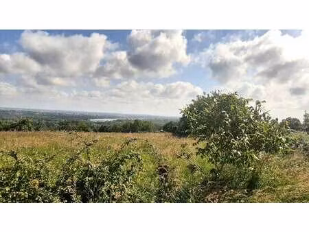 vente terrain à drain (49530) : à vendre / drain