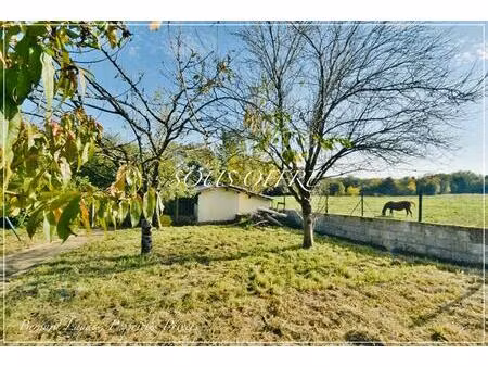 appartement 3 pièce(s) 80.94 m2