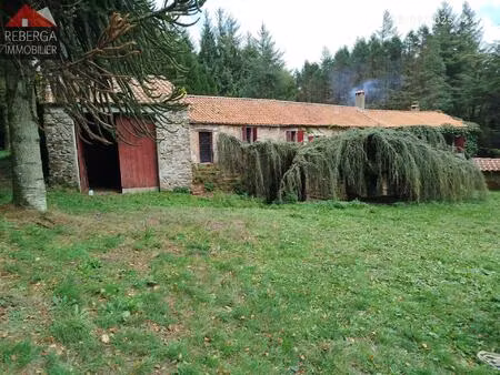 propriete forestiere cassagnoles