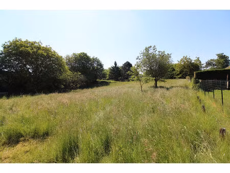 achat terrain 2 248m²