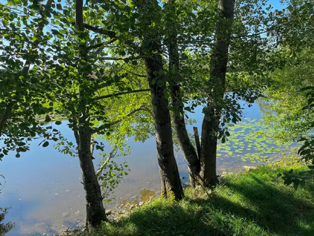 achat terrain 7 280m² guillon 89420