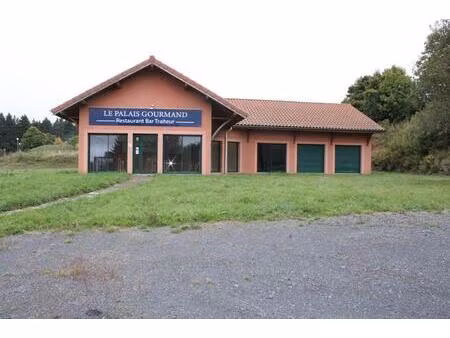 murs commerciaux libre de toute occupation