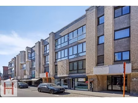 commercieel te koop in geel