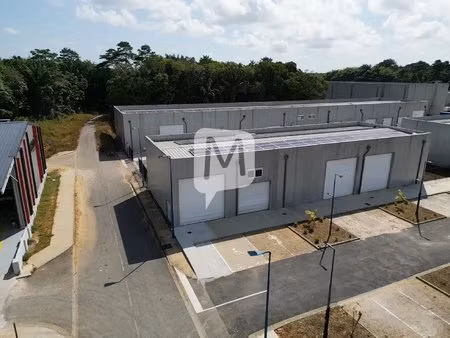 location local commercial 180m² macouria 97355
