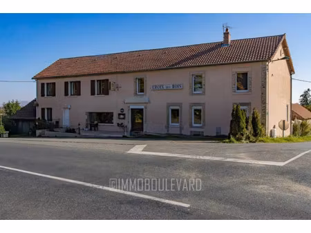 vente maison 17 pièces 346 m² à lalizolle (03450)  363 000 €