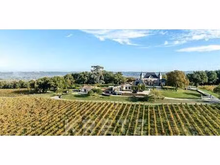 château eynesse (33)