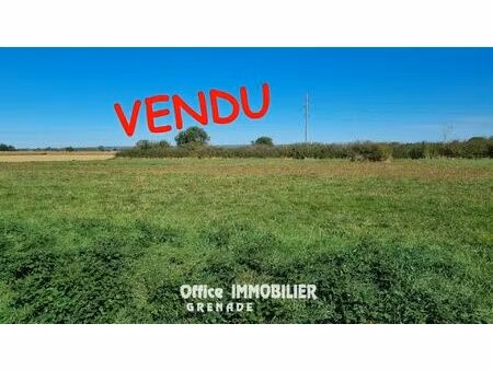 vente terrain grenade (31330)