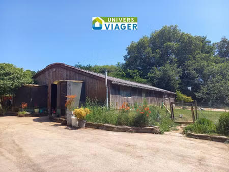maison viager occupé pacé