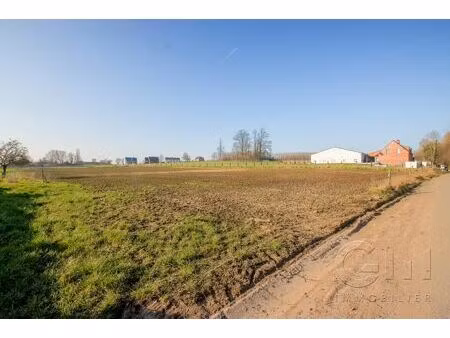 terrain à vendre de 2571 m² à cordes (vbd44037)