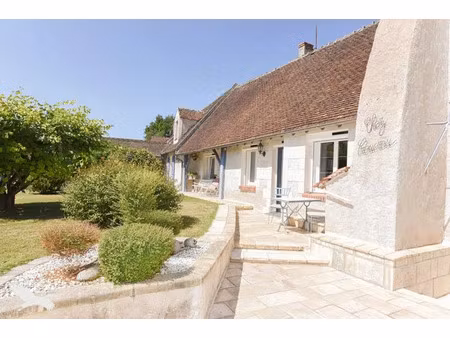 vente maison 7 pièces 275 m² seigy (41110)
