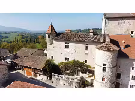 château du 13e siècle