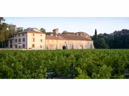 propriété avec piscine châteauneuf-du-pape (84)