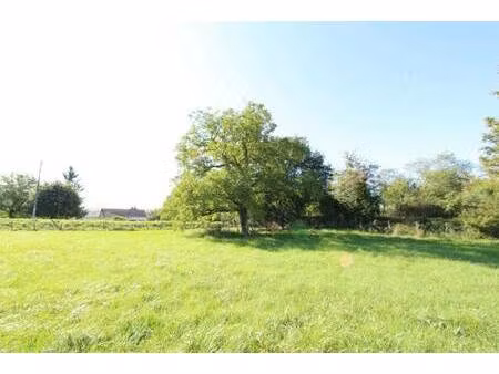 terrain constructible à vendre