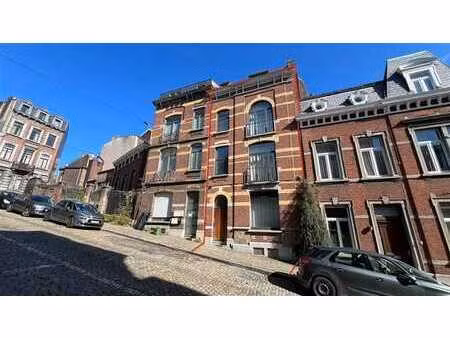 superbe maison de maître 6ch. avec terrasse  jardin et vue.