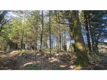 vente terrain 5600 m² à silfiac (56480)  8 000 €