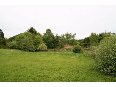 vente terrain 5600 m² foussemagne (90150)