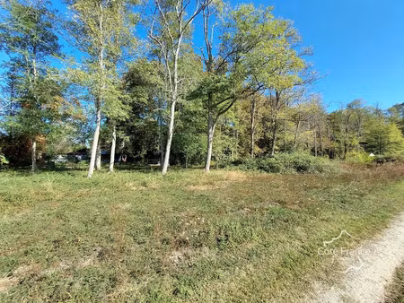 vente terrain 8000 m² à louchats (33125)  195 000 €