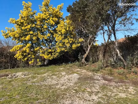 vente terrain 856 m² à labenne (40530)  399 000 €