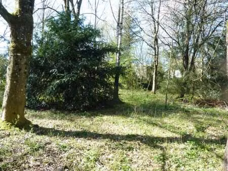 magnifique terrain arboré  situé en zone d’habitat