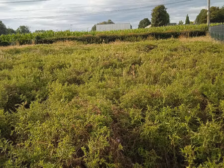 terrain offranville 900 m2