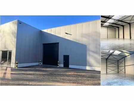 surface industrielle à louer à dikberd 42 herentals (rbu57729)