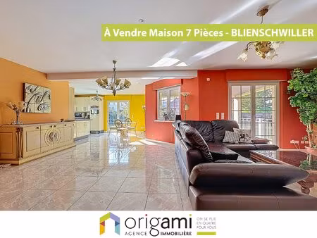 nouveauté origami immobilier - maison avec gîte à blienschwil