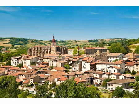 idéal investissement  immeuble de rapport à vendre   chateauneuf de galaure immeuble de ra