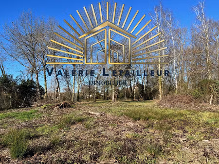 magnifique terrain constructible à salleboeuf vue sur terra