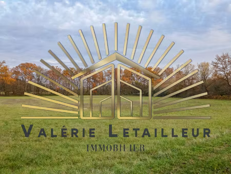 terrain non constructible 53300m2 composé de bois et de prêt