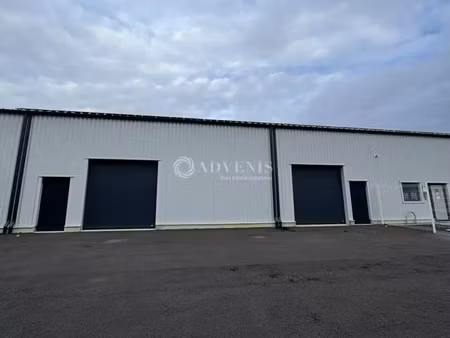 local d'activite a louer