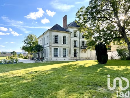 vente château 18 pièces