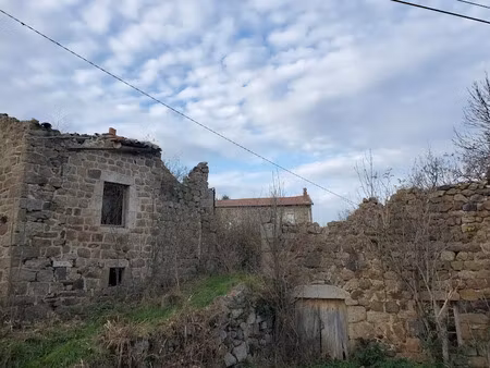 vente ferme 1 pièce 1 m² à salettes (43150)  13 000 €