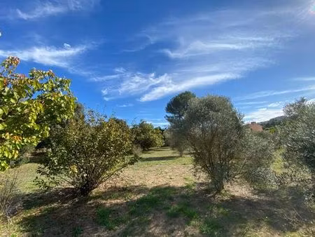 terrain de 1000 m2 - cabriès  france