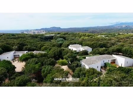 vente commerce 12 pièces 304 m² bonifacio / bunifaziu (20169)